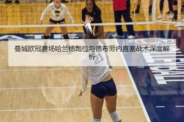 man-cheng-ou-guan-sai-chang-ha-lan-de-pao-wei-yu-de-bu-lao-nei-zhi-sai-zhan-shu-shen-du-jie-xi-3-223.jpg